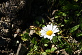 DSC08982 - Bernhard Saalfeld