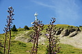 DSC08986 - Bernhard Saalfeld