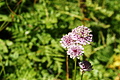 DSC08989 - Bernhard Saalfeld