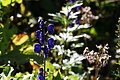 DSC08991 - Bernhard Saalfeld