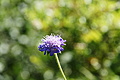 DSC08993 - Bernhard Saalfeld