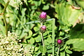 DSC08996 - Bernhard Saalfeld
