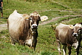 DSC09005 - Bernhard Saalfeld