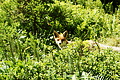 DSC09014 - Bernhard Saalfeld