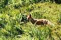 DSC09017 - Bernhard Saalfeld