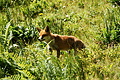 DSC09018 - Bernhard Saalfeld
