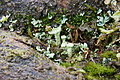 DSC09021 - Bernhard Saalfeld
