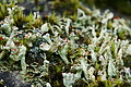 DSC09023 - Bernhard Saalfeld