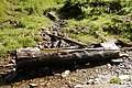 DSC09030 - Bernhard Saalfeld