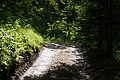 DSC09032 - Bernhard Saalfeld