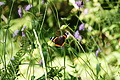 DSC09034 - Bernhard Saalfeld
