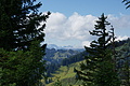 DSC09072 - Bernhard Saalfeld