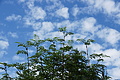 DSC09073 - Bernhard Saalfeld