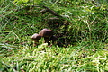 DSC09083 - Bernhard Saalfeld