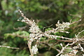 DSC09084 - Bernhard Saalfeld