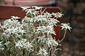 DSC09092 - Bernhard Saalfeld