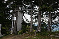 DSC09094 - Bernhard Saalfeld