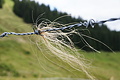 DSC09096 - Bernhard Saalfeld