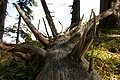 DSC09126 - Bernhard Saalfeld
