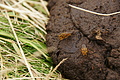 DSC09137 - Bernhard Saalfeld