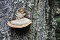 DSC09148 - Bernhard Saalfeld