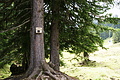 DSC09149 - Bernhard Saalfeld