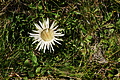 DSC09153 - Bernhard Saalfeld