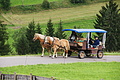 DSC09162 - Bernhard Saalfeld