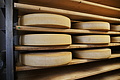 DSC09165 - Bernhard Saalfeld