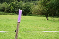 DSC09194 - Bernhard Saalfeld