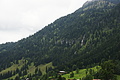 DSC09195 - Bernhard Saalfeld