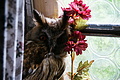 DSC09202 - Bernhard Saalfeld