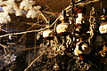 DSC09210 - Bernhard Saalfeld