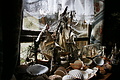 DSC09224 - Bernhard Saalfeld