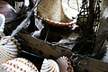 DSC09227 - Bernhard Saalfeld