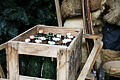 DSC09238 - Bernhard Saalfeld