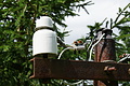 DSC09253 - Bernhard Saalfeld