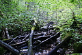 DSC09262 - Bernhard Saalfeld