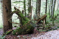 DSC09266 - Bernhard Saalfeld