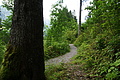 DSC09268 - Bernhard Saalfeld