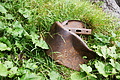 DSC09282 - Bernhard Saalfeld