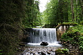 DSC09298 - Bernhard Saalfeld