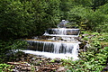 DSC09302 - Bernhard Saalfeld