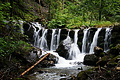 DSC09304 - Bernhard Saalfeld