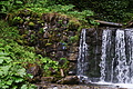 DSC09315 - Bernhard Saalfeld