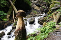 DSC09319 - Bernhard Saalfeld