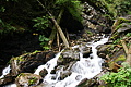 DSC09321 - Bernhard Saalfeld