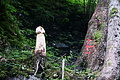 DSC09327 - Bernhard Saalfeld