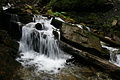 DSC09330 - Bernhard Saalfeld