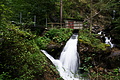 DSC09334 - Bernhard Saalfeld